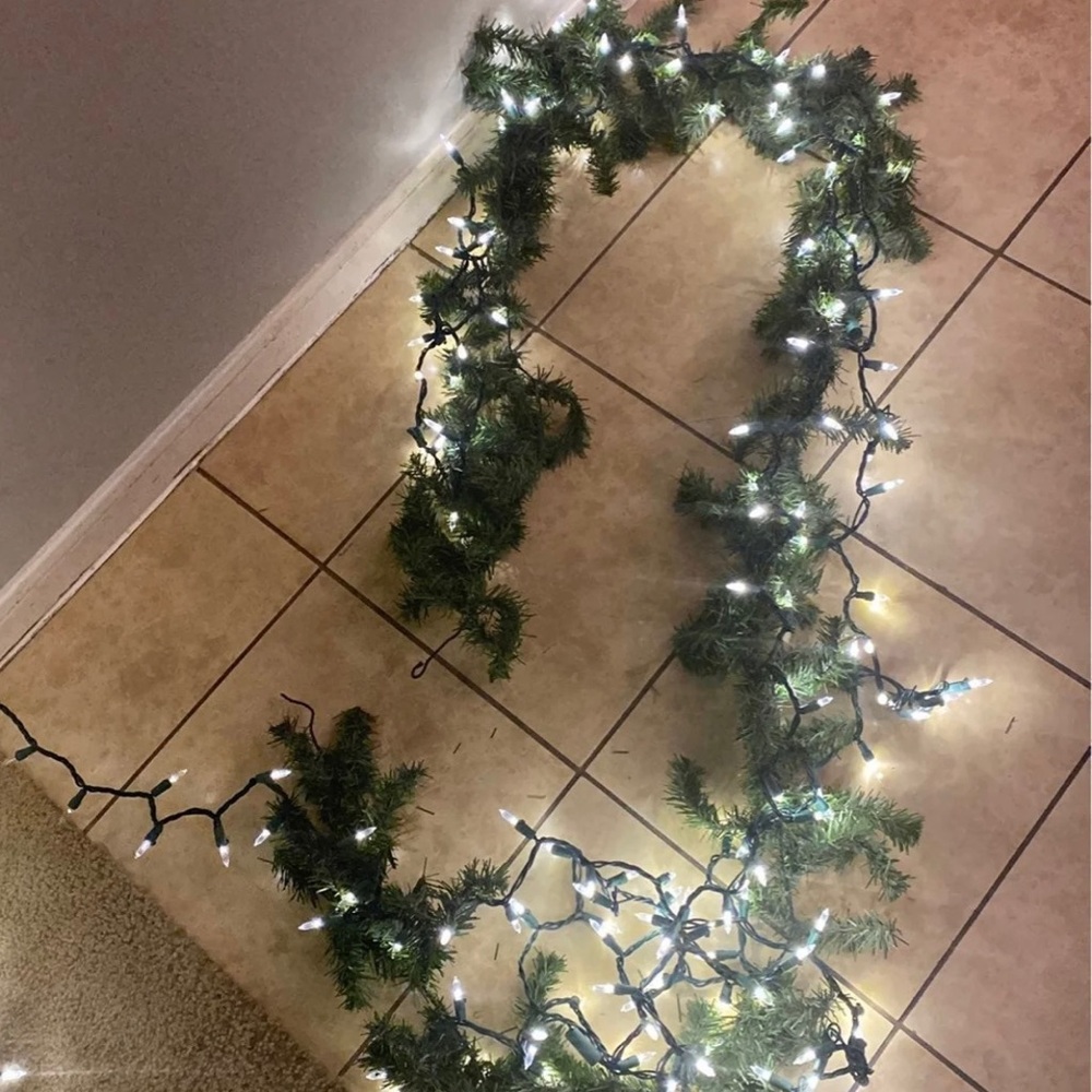 Garland with lights